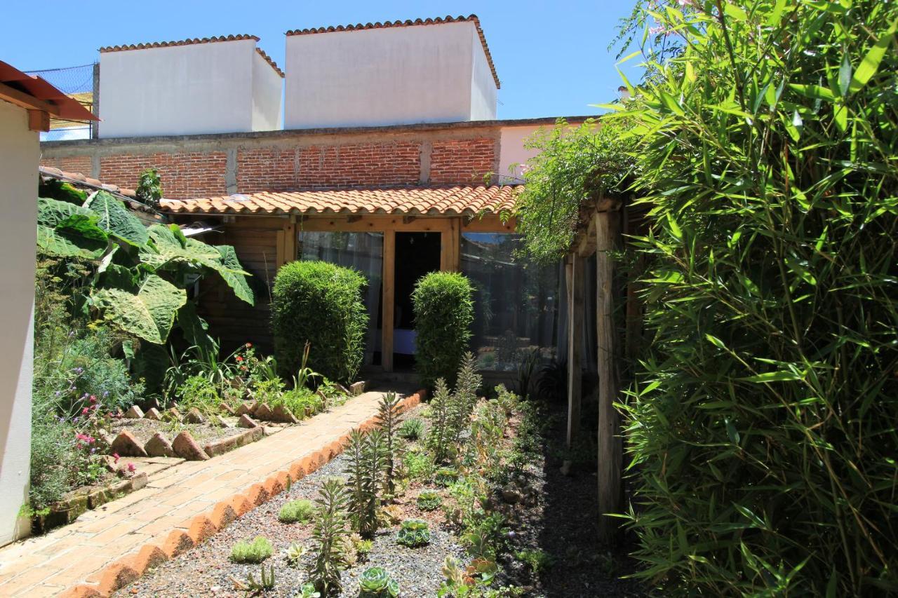 Sereno Hotel San Cristóbal de Las Casas Exteriör bild